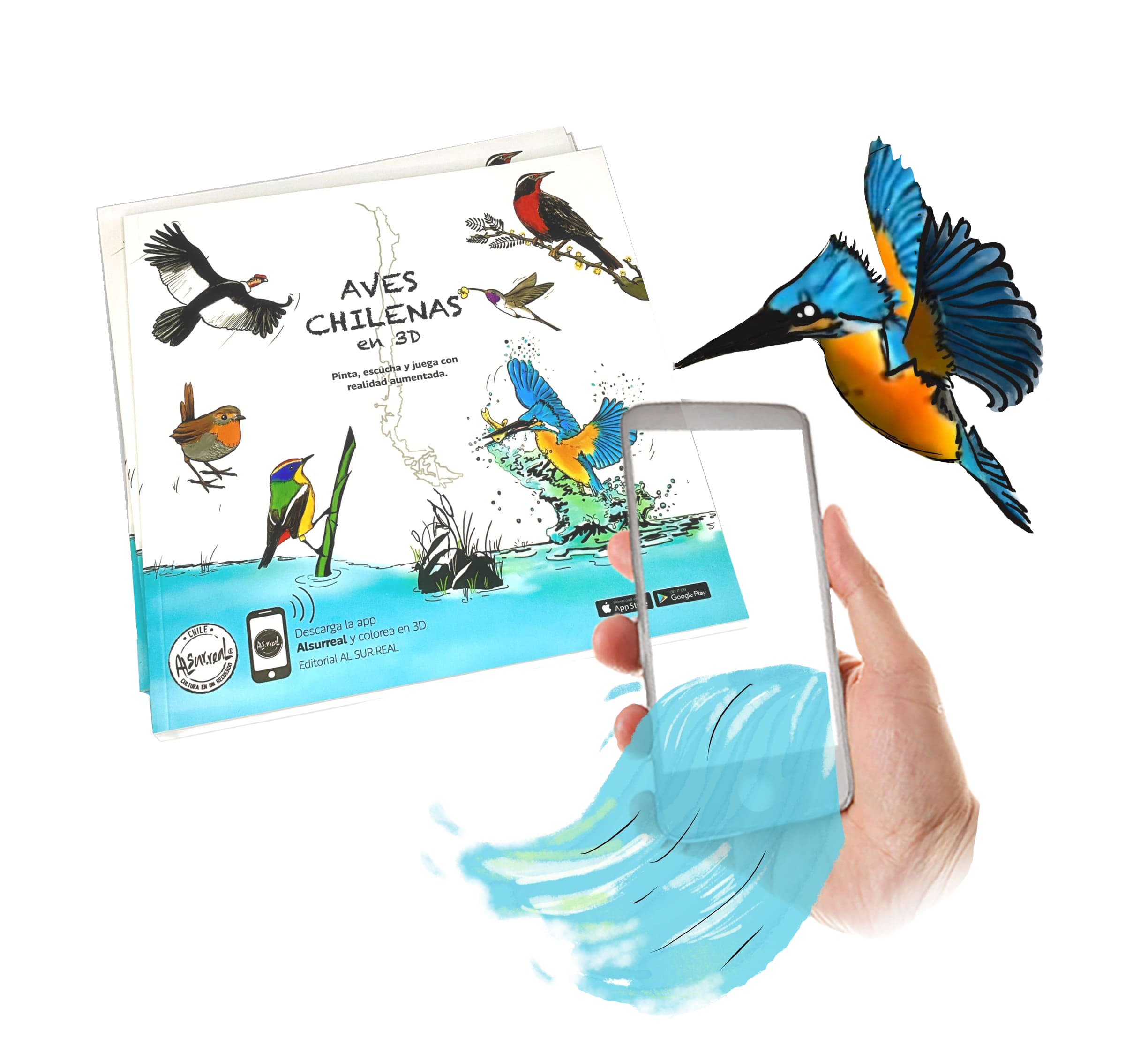 Imagen Aves Chilenas